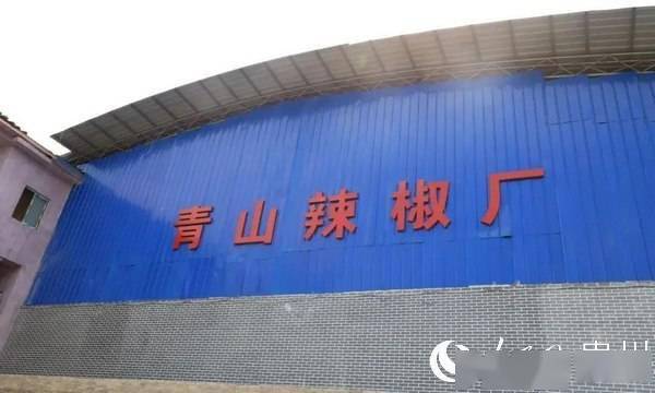 金海湖新區規劃建設辣椒加工廠，延長產業收益鏈