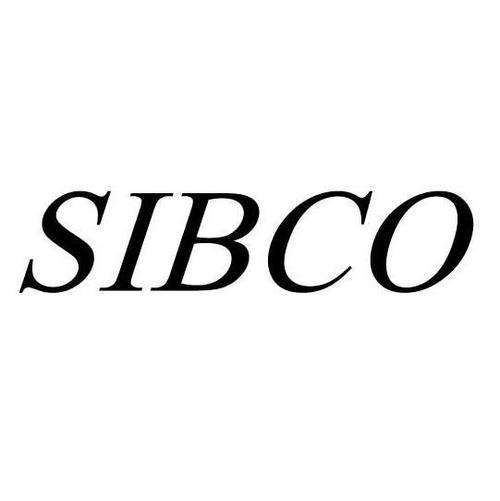 上海國(guó)際企業(yè)商務(wù)咨詢服務(wù)有限公司
