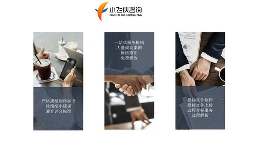 2021巴中投標(biāo)書(shū)制作公司,專(zhuān)注做標(biāo)書(shū) 小飛俠價(jià)格低